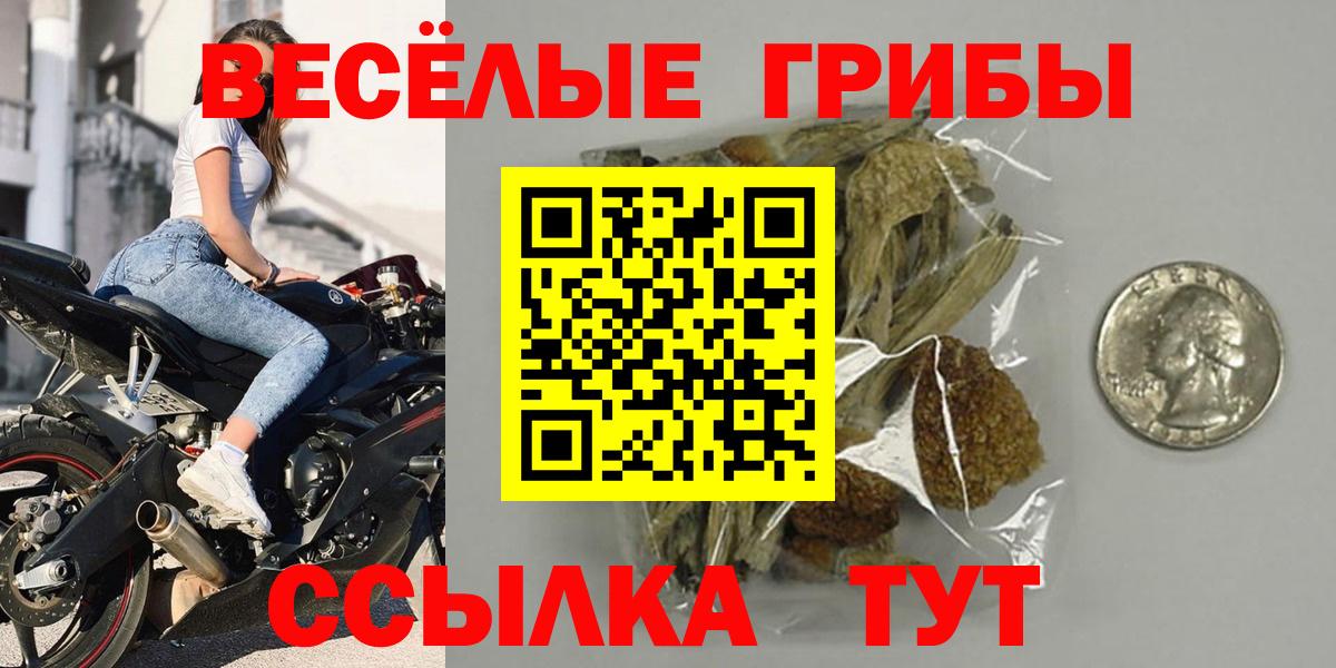 Галлюциногенные грибы прущие грибы  Вход с VPN  Янаул 